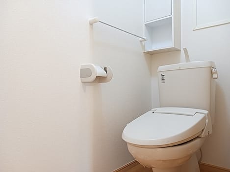 Naikan8 20260817000000