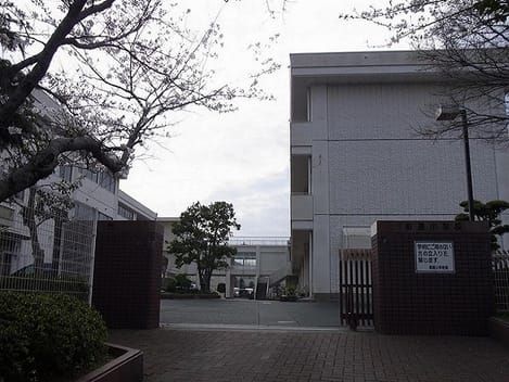 Naikan13 20260520000000
