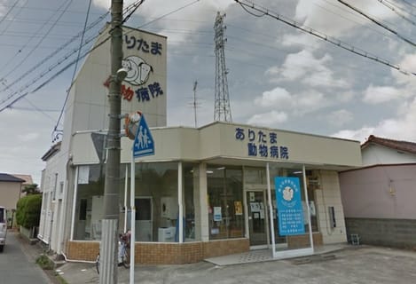 Naikan17 20210609000000