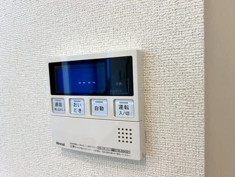 Naikan11 20260819000000