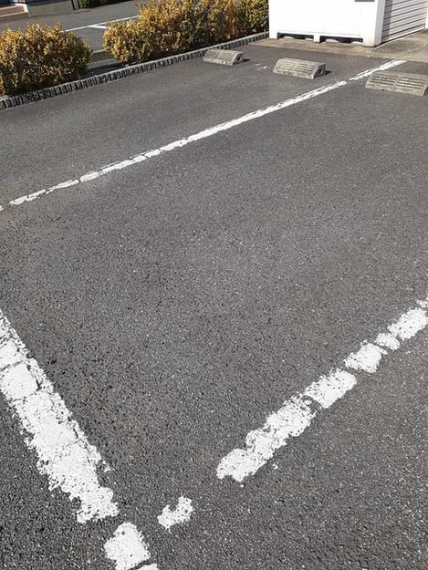 Naikan11 20230303000000