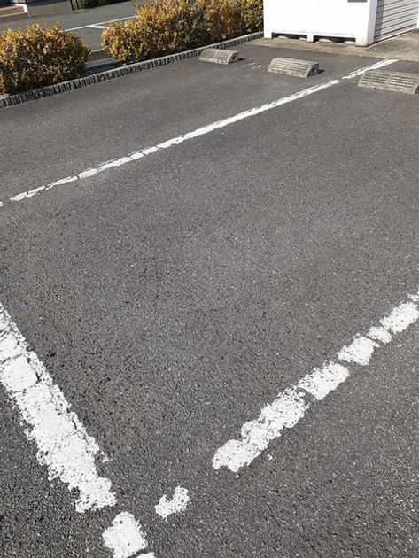 Naikan11 20230303000000 945x630