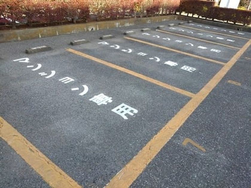 Naikan11 20201113000000 945x630