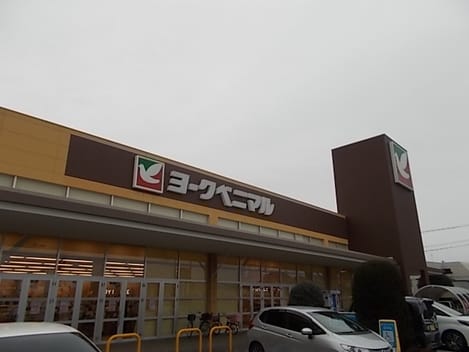 Naikan17 20220614000000