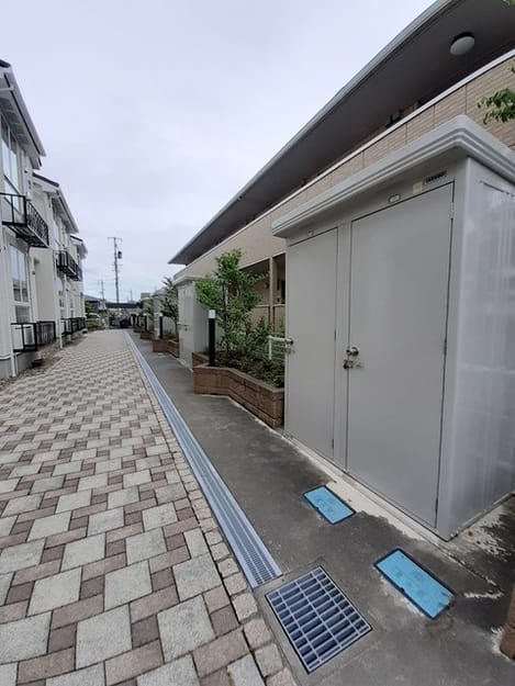 Naikan11 20260817000000