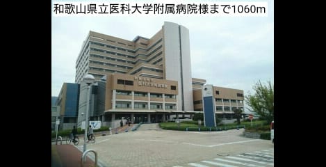 Naikan15 20181112000000