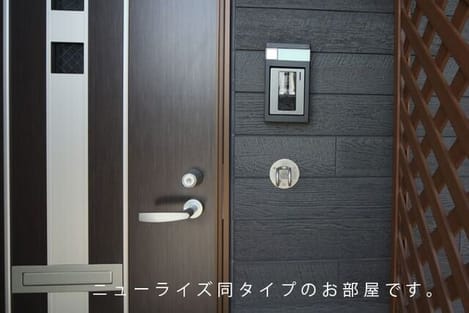Naikan11 20260717000000