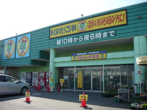Naikan15 20241010000000
