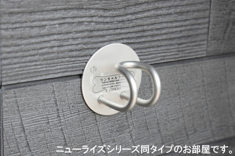 Naikan11 20260105000000