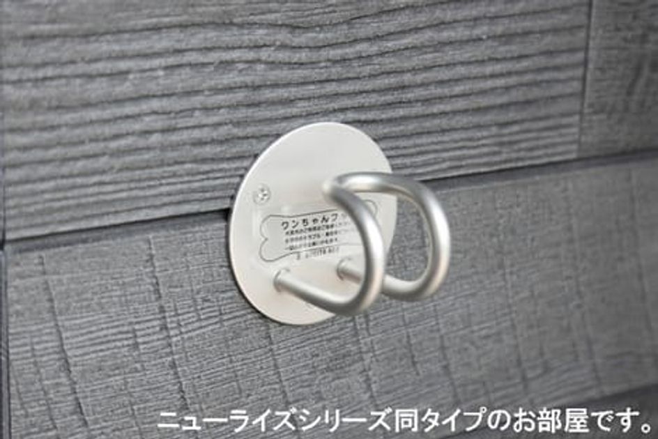 Naikan11 20260105000000 945x630