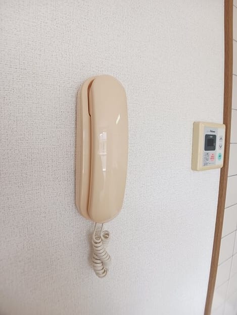 Naikan12 20250725000000