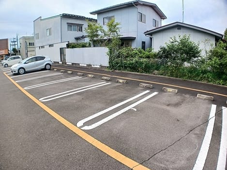 Naikan11 20260908000000