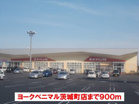 Naikan17 20160321000000