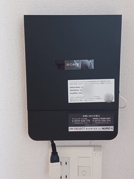 Naikan10 20250610000000