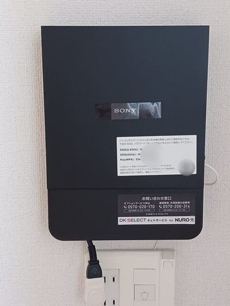 Naikan10 20250610000000 945x630