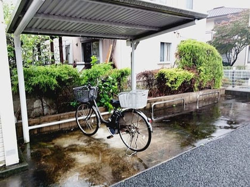 Naikan11 20261026000000 945x630