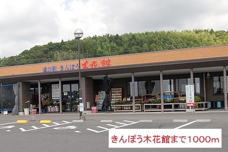 Naikan13 20150724000000