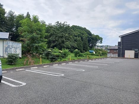 Naikan11 20260818000000