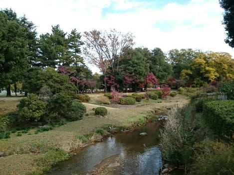Naikan18 20201023000000