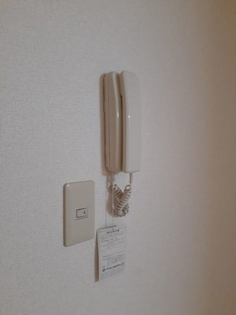 Naikan12 20240222000000 945x630
