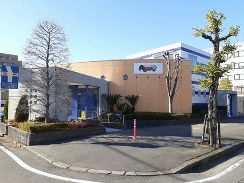 Naikan17 20250221000000 945x630