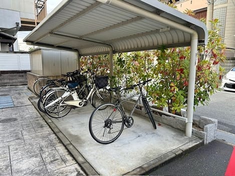 Naikan11 20260120000000