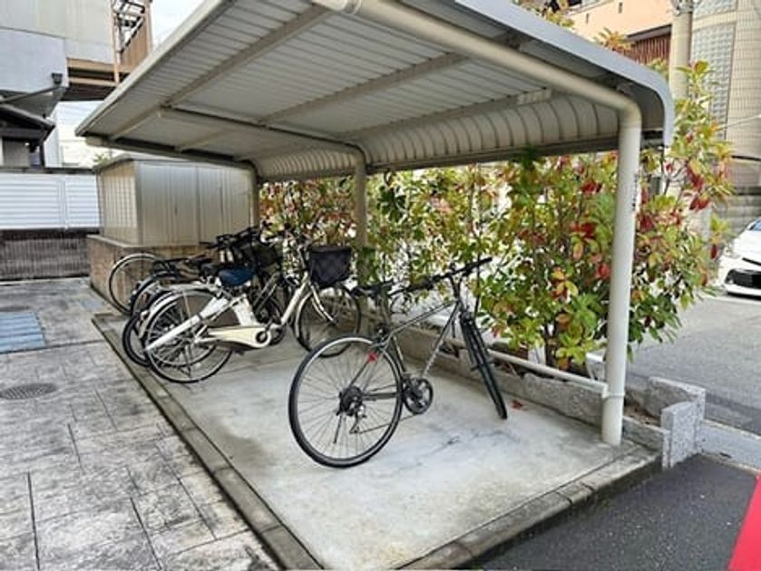 Naikan11 20260120000000 945x630