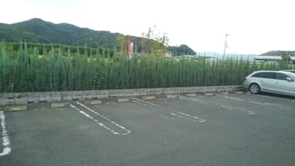 Naikan7 20171007000000 945x630