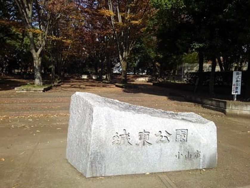 Naikan18 20250312000000 945x630