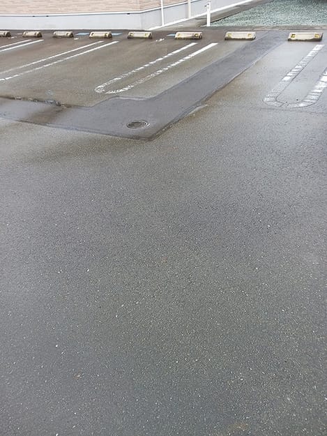 Naikan11 20260909000000