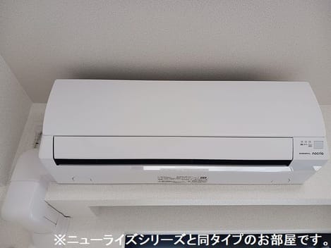 Naikan10 20260804000000