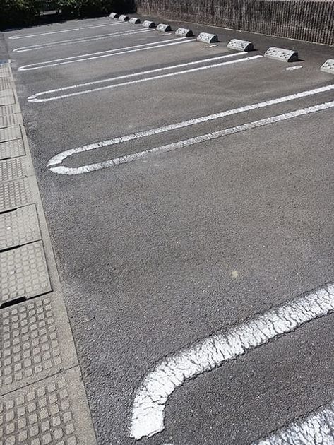 Naikan11 20261029000000 945x630