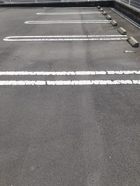 Naikan11 20220302000000
