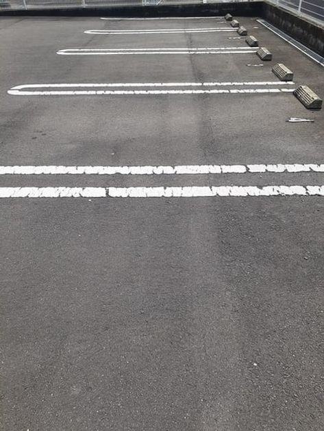 Naikan11 20220302000000 945x630