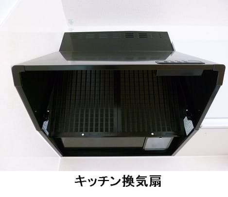 Naikan11 20251209000000