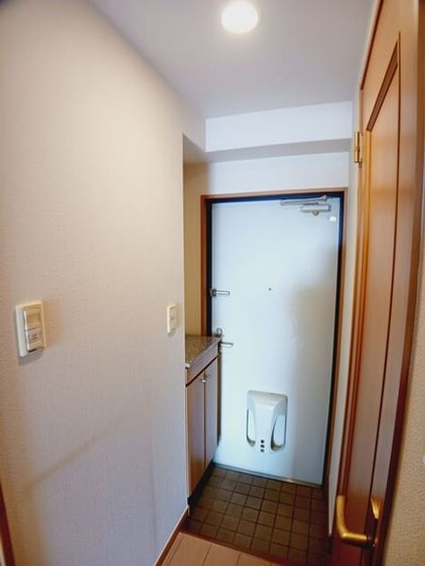 Naikan8 20251006000000 945x630
