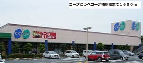 Naikan13 20251120000000
