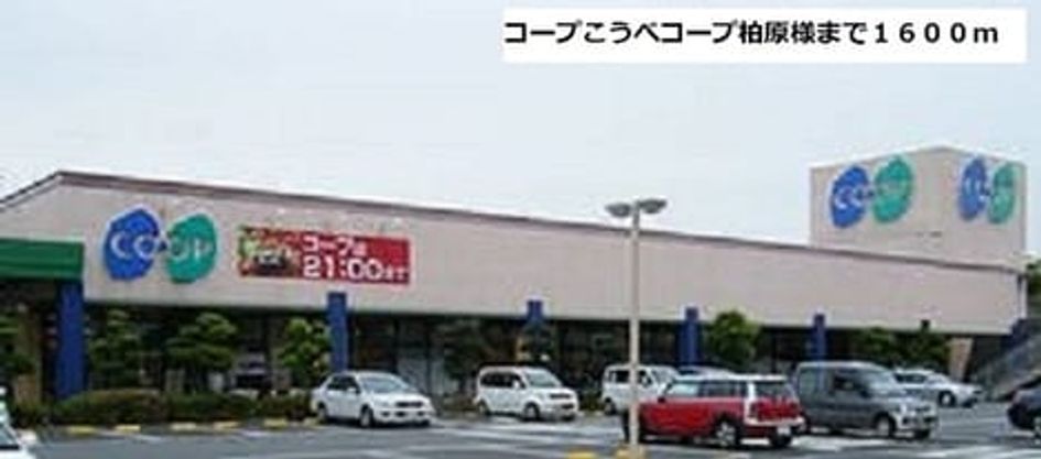 Naikan13 20251120000000 945x630