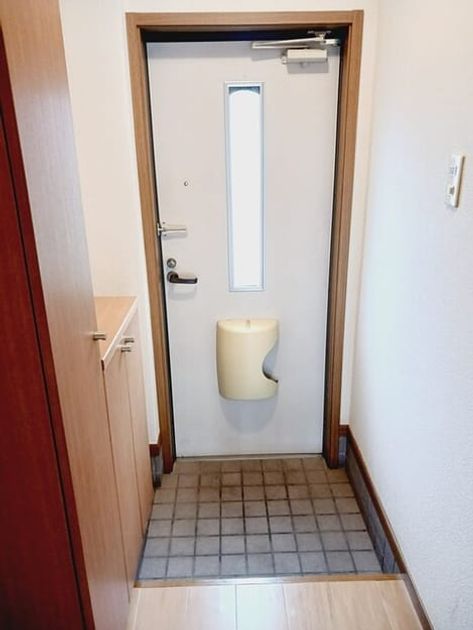 Naikan6 20251007000000 945x630