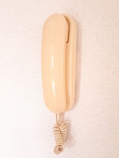 Naikan10 20230629000000 945x630