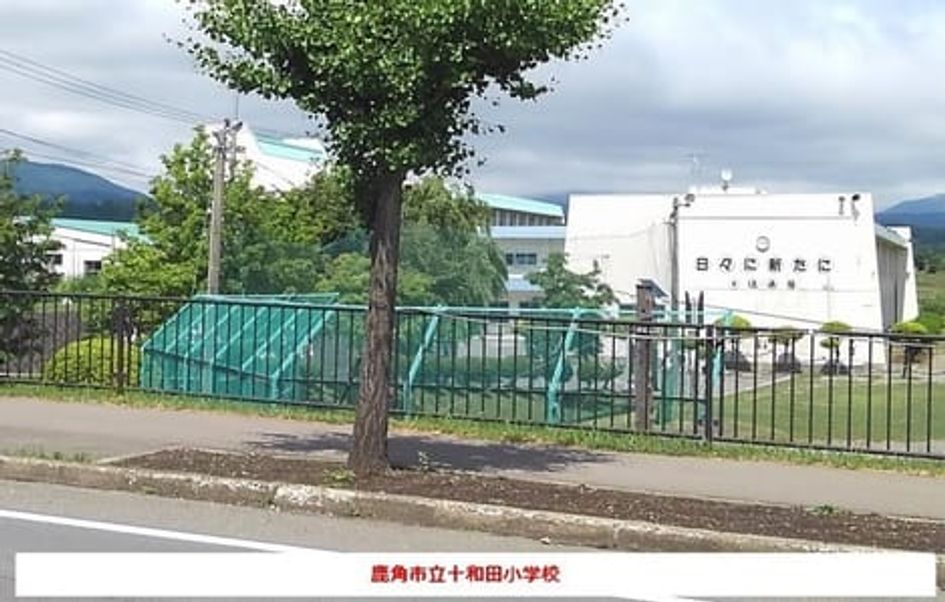 Naikan18 20251003000000 945x630