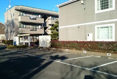 Naikan10 20241205000000