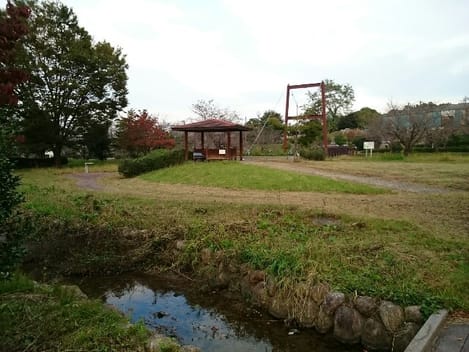 Naikan13 20210426000000