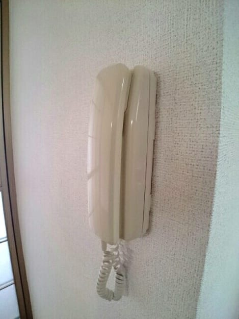 Naikan11 20200225000000