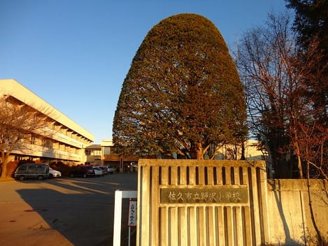 Naikan18 20200823000000