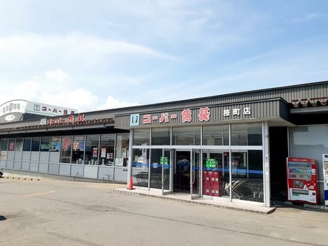 Naikan13 20241120000000