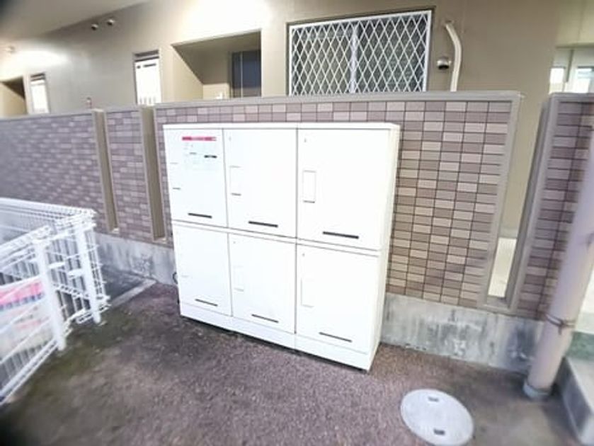 Naikan11 20251118000000 945x630