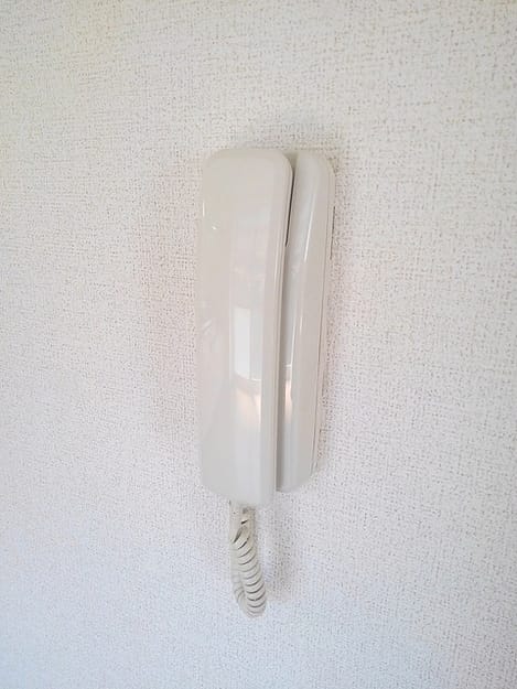 Naikan8 20200514000000