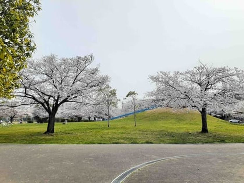 Naikan14 20210330000000 945x630