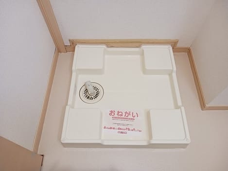 Naikan5 20241121000000